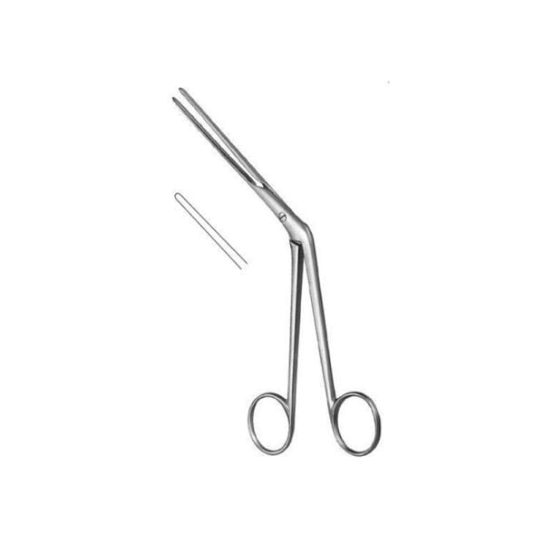 Rhinology