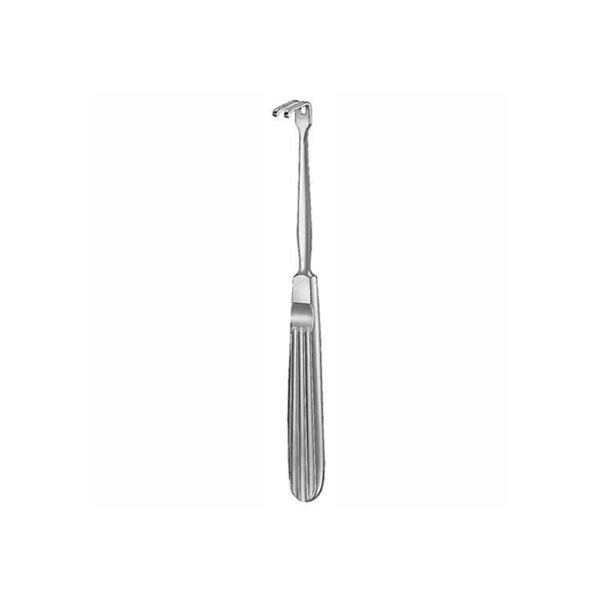 Oral Instruments