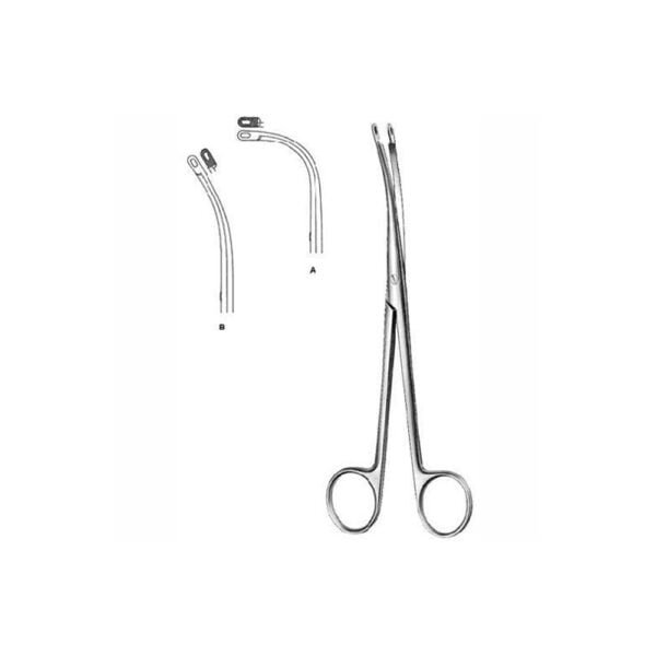 Urology