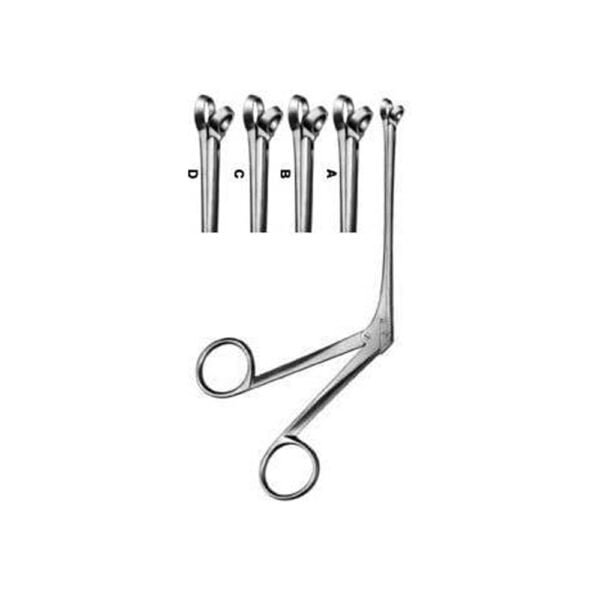 Rhinology