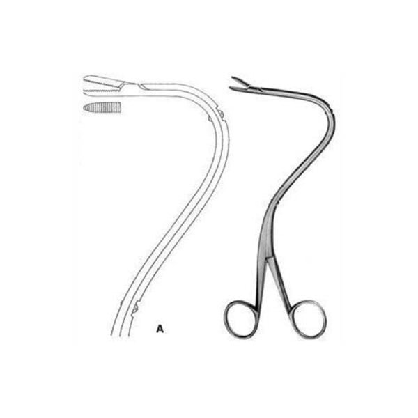 Urology