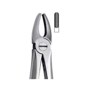 Extraction Forceps
