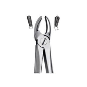 Extraction Forceps